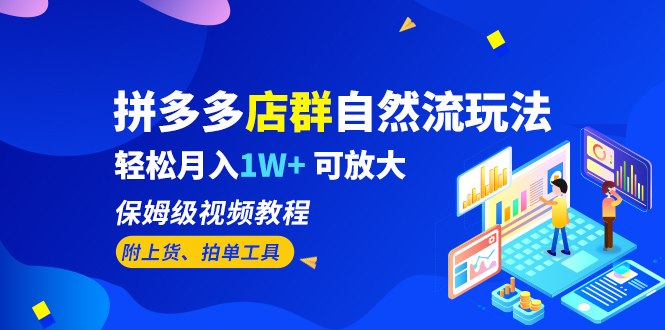 （6545期）拼多多店群自然流玩法，轻松月入1W+ 保姆级视频教程（附上货、拍单工具）-桐创网