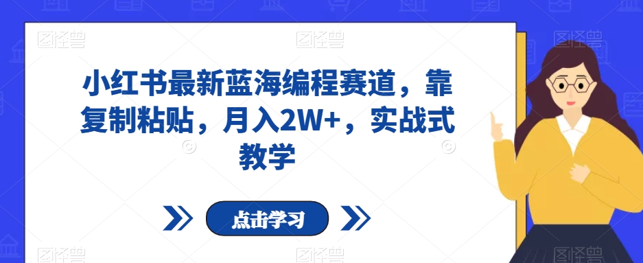 小红书最新蓝海编程赛道，靠复制粘贴，月入2W+，实战式教学【揭秘】-桐创网