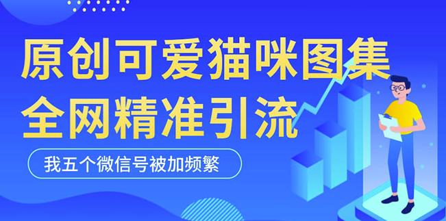 黑科技纯原创可爱猫咪图片，全网精准引流，实操5个VX号被加频繁-桐创网