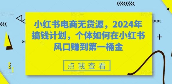 小红书电商无货源，2024年搞钱计划，个体如何在小红书风口赚到第一桶金-桐创网