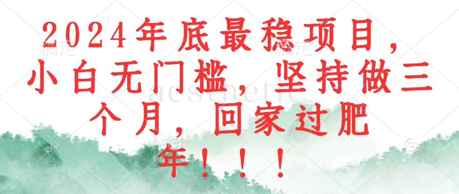 （12970期）2024年底最稳项目，小白无门槛，坚持做三个月，回家过肥年！！！-桐创网