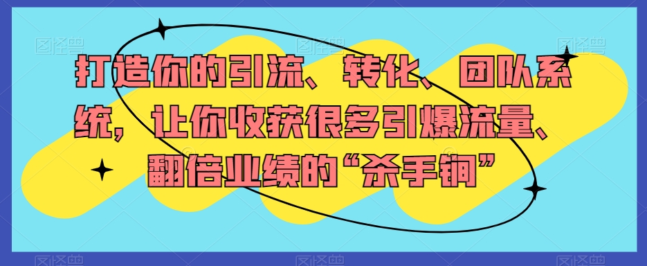 打造你的引流、转化、团队系统，让你收获很多引爆流量、翻倍业绩的“杀手锏”-桐创网