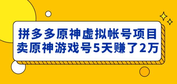 外面卖2980的拼多多原神虚拟帐号项目：卖原神游戏号5天赚了2万-桐创网