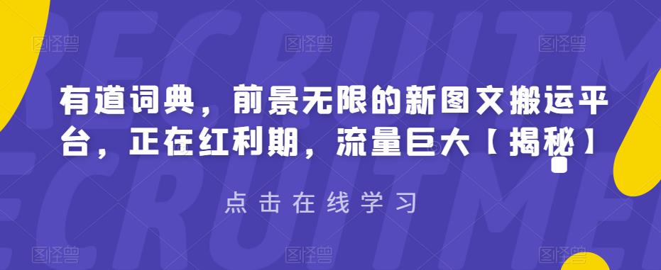 有道词典，前景无限的新图文搬运平台，正在红利期，流量巨大【揭秘】-桐创网