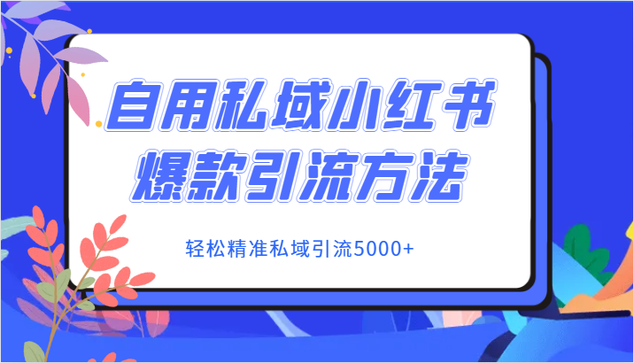 自用私域小红书爆款引流方法，轻松精准私域引流5000+-桐创网