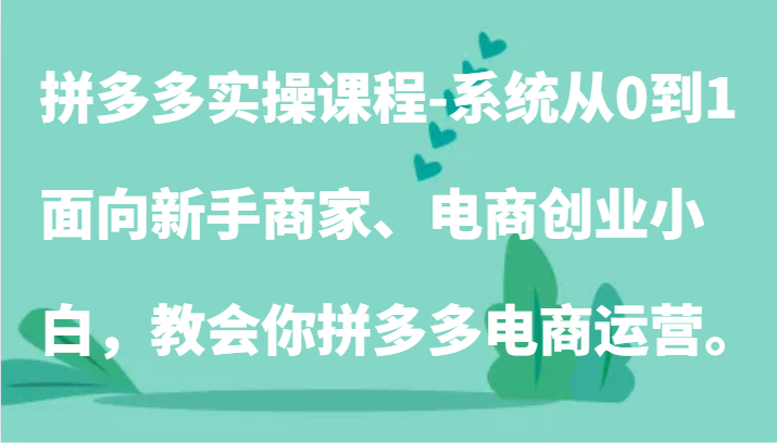 拼多多实操课程-系统从0到1，面向新手商家、电商创业小白，教会你拼多多电商运营。-桐创网