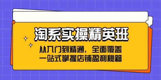 淘系实操精英班：从入门到精通，全面覆盖，一站式掌握店铺盈利秘籍-桐创网