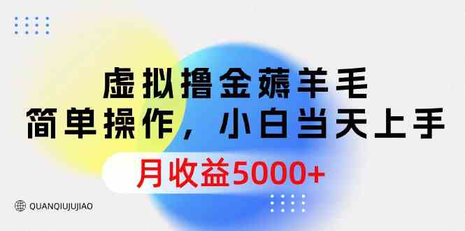 （9864期）虚拟撸金薅羊毛，简单操作，小白当天上手，月收益5000+-桐创网