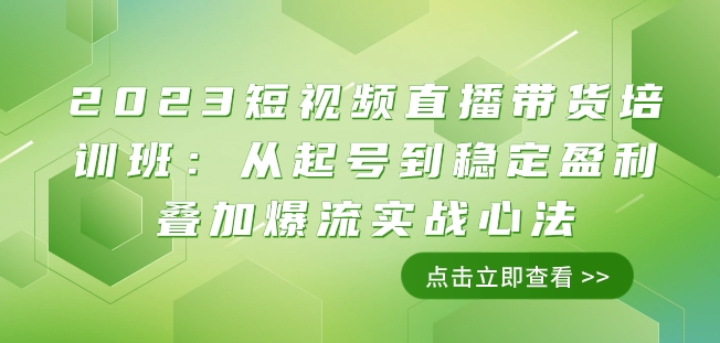 2023短视频直播带货培训班：从起号到稳定盈利叠加爆流实战心法（11节课）-桐创网