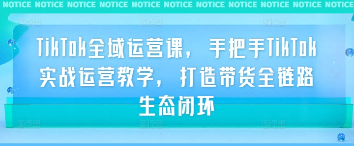 TikTok全域运营课，手把手TikTok实战运营教学，打造带货全链路生态闭环-桐创网