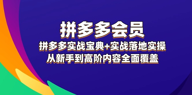 （12056期）拼多多 会员，拼多多实战宝典+实战落地实操，从新手到高阶内容全面覆盖-桐创网