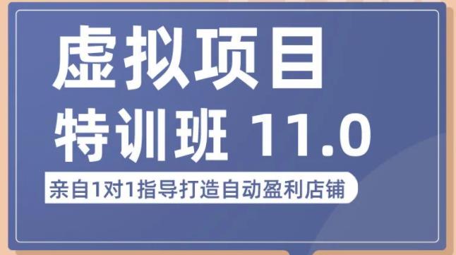 陆明明·虚拟项目特训班（10.0+11.0），0成本获取虚拟素材，0基础打造自动盈利店铺-桐创网