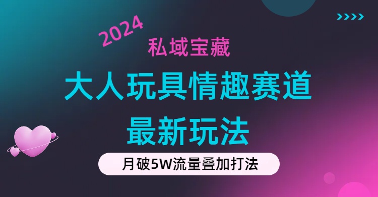 （11541期）私域宝藏：大人玩具情趣赛道合规新玩法，零投入，私域超高流量成单率高-桐创网