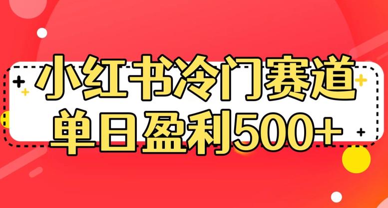 小红书冷门赛道，单日盈利500+【揭秘】-桐创网