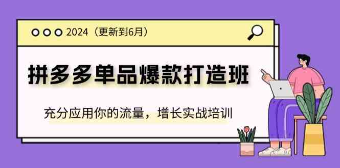 2024拼多多单品爆款打造班，充分应用你的流量，增长实战培训(更新6月)-桐创网