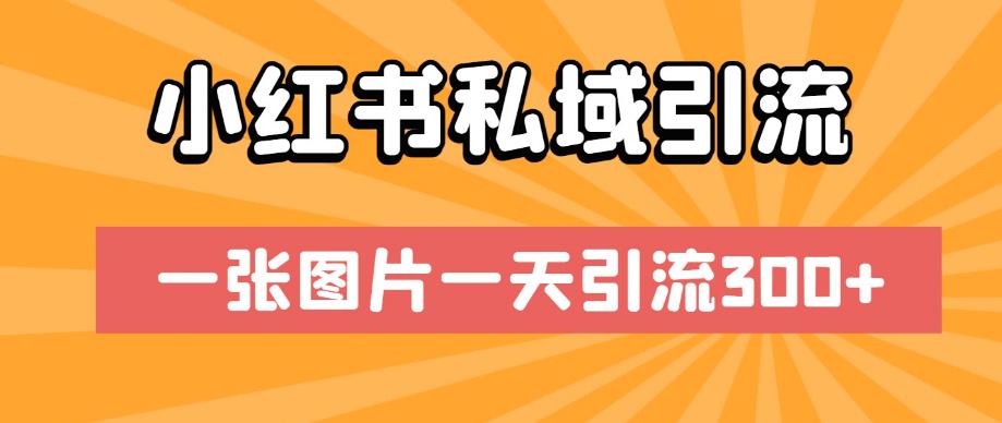 小红书私域引流，一张图片一天引流300+【揭秘】-桐创网