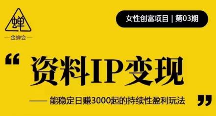 资料IP变现，能稳定日赚3000起的持续性盈利玩法-桐创网