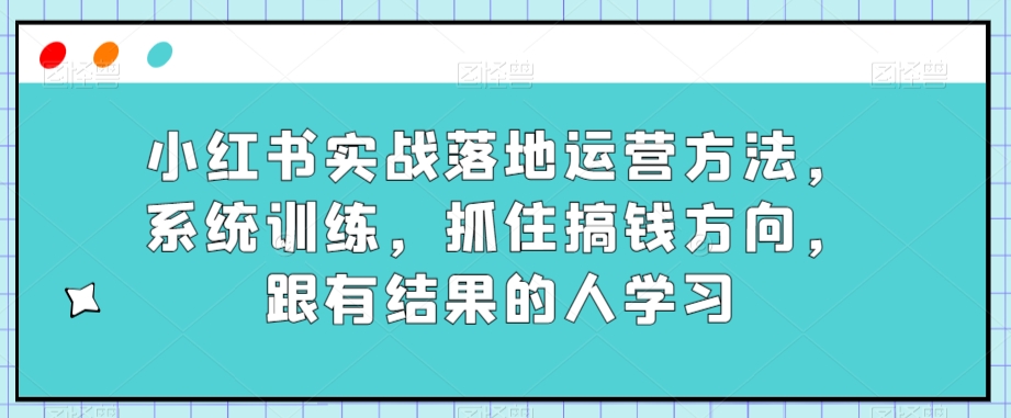 小红书实战落地运营方法，系统训练，抓住搞钱方向，跟有结果的人学习-桐创网