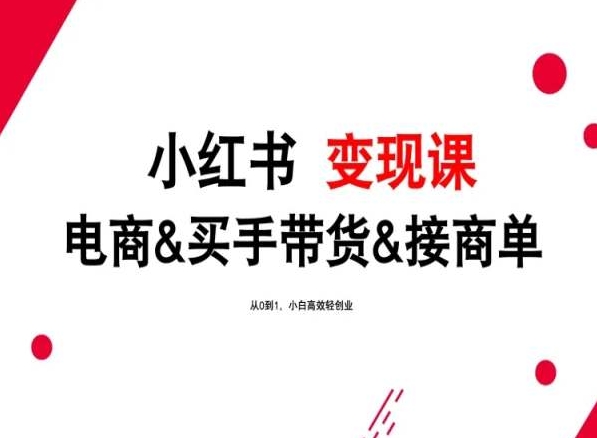 2024年最新小红书变现课，电商&买手带货&接商单，从0到1，小白高效轻创业-桐创网