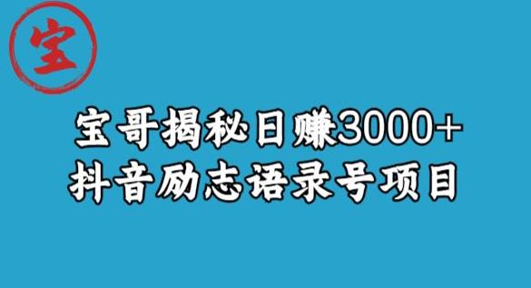 宝哥揭秘日赚3000+抖音励志语录号短视频变现项目-桐创网