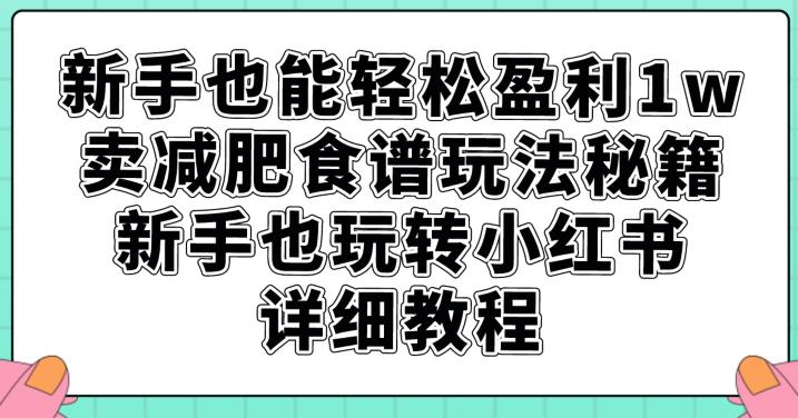 新手也能轻松盈利1w，卖减肥食谱玩法秘籍，新手也玩转小红书详细教程【揭秘】-桐创网