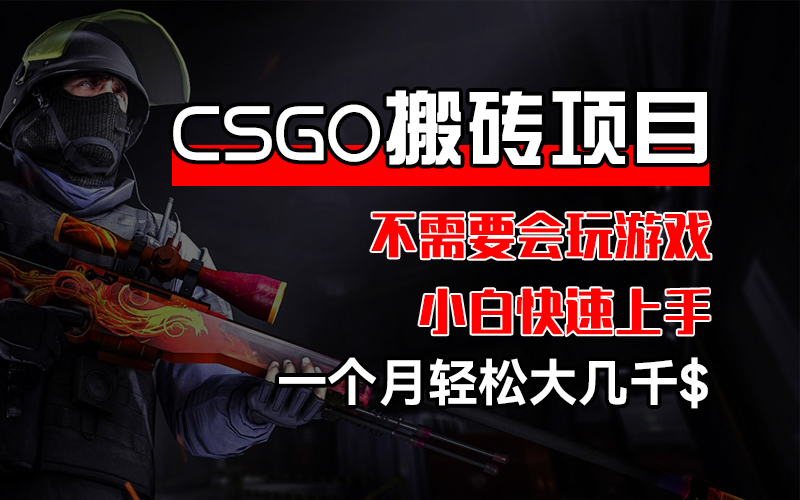 （12332期）CSGO 装备搬砖项目，操作简单，不需要会玩游戏，小白也能快速上手，一…-桐创网