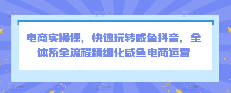 电商实操课，快速玩转咸鱼抖音，全体系全流程精细化咸鱼电商运营-桐创网