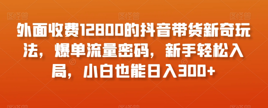 外面收费12800的抖音带货新奇玩法，爆单流量密码，新手轻松入局，小白也能日入300+【揭秘】-桐创网