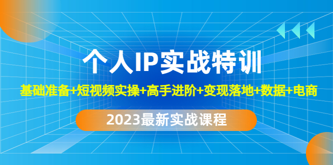 （4735期）2023个人IP实战特训：基础准备+短视频实操+高手进阶+变现落地+数据+电商-桐创网