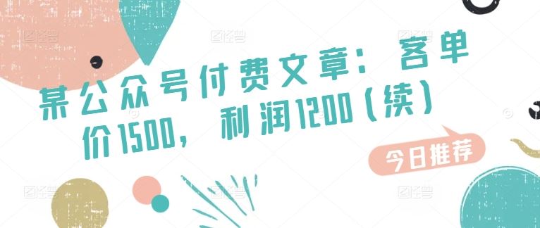 某公众号付费文章：客单价1500，利润1200(续)，市场几乎可以说是空白的-桐创网