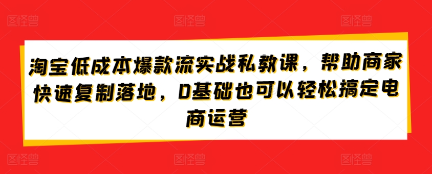 淘宝低成本爆款流实战私教课，帮助商家快速复制落地，0基础也可以轻松搞定电商运营-桐创网