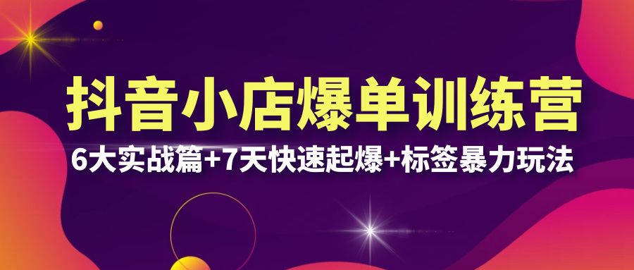 （6348期）抖音小店爆单训练营VIP线下课：6大实战篇+7天快速起爆+标签暴力玩法(32节)-桐创网