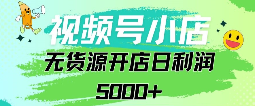 视频号无货源小店从0到1日订单量千单以上纯利润稳稳5000+-桐创网