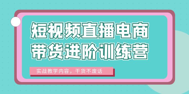 （6401期）短视频直播电商带货进阶训练营：实战教学内容，干货不废话！-桐创网