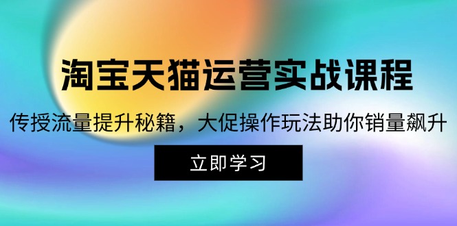 （12959期）淘宝&天猫运营实战课程，传授流量提升秘籍，大促操作玩法助你销量飙升-桐创网