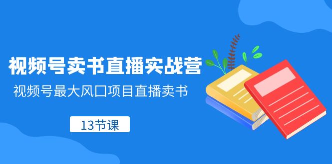 视频号卖书直播实战营，视频号最大风囗项目直播卖书（13节课）-桐创网