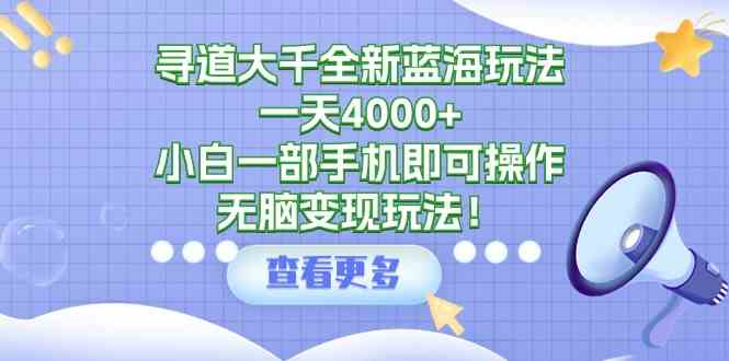 （9479期）寻道大千全新蓝海玩法，一天4000+，小白一部手机即可操作，无脑变现玩法！-桐创网