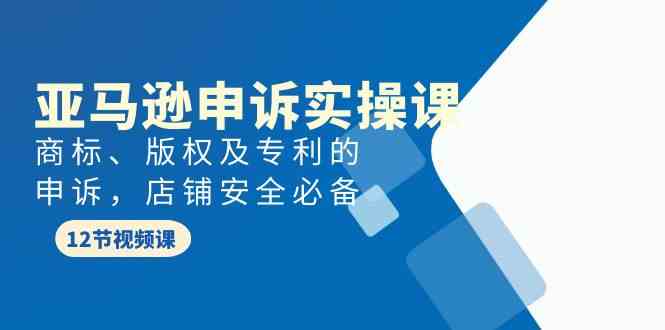 （9754期）亚马逊-申诉实战课，​商标、版权及专利的申诉，店铺安全必备-桐创网