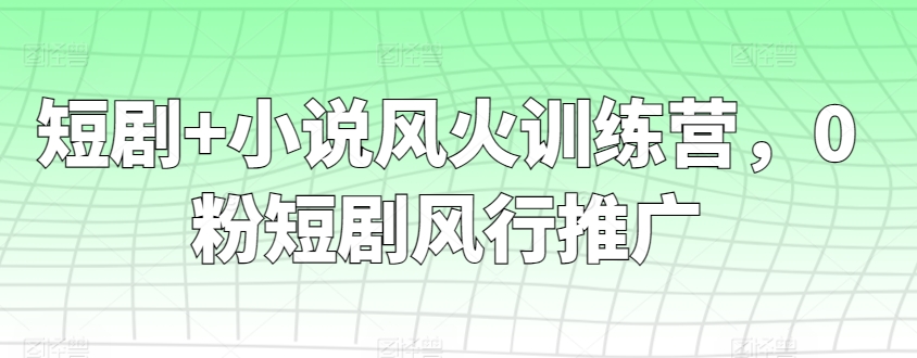 短剧+小说风火训练营，0粉短剧风行推广-桐创网