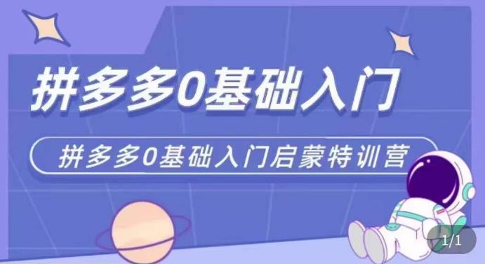 拼多多运营0-1实操特训营，拼多多0基础入门，从基础到进阶的可实操玩法-桐创网