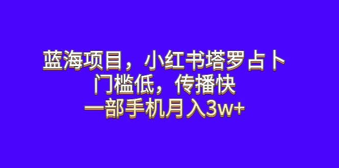 （6427期）蓝海项目，小红书塔罗占卜，门槛低，传播快，一部手机月入3w+-桐创网