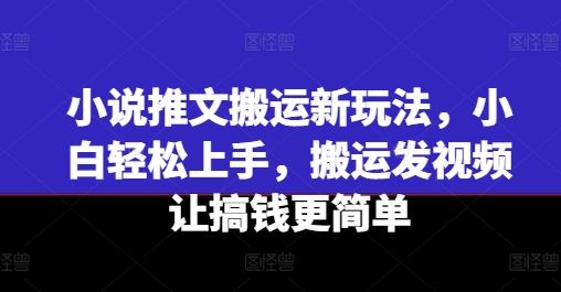 小说推文搬运新玩法，小白轻松上手，搬运发视频让搞钱更简单-桐创网