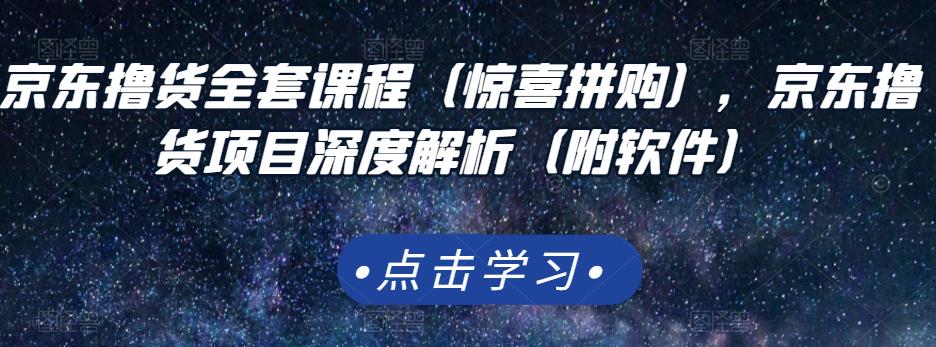 京东撸货全套课程（惊喜拼购），京东撸货项目深度解析（附软件）-桐创网