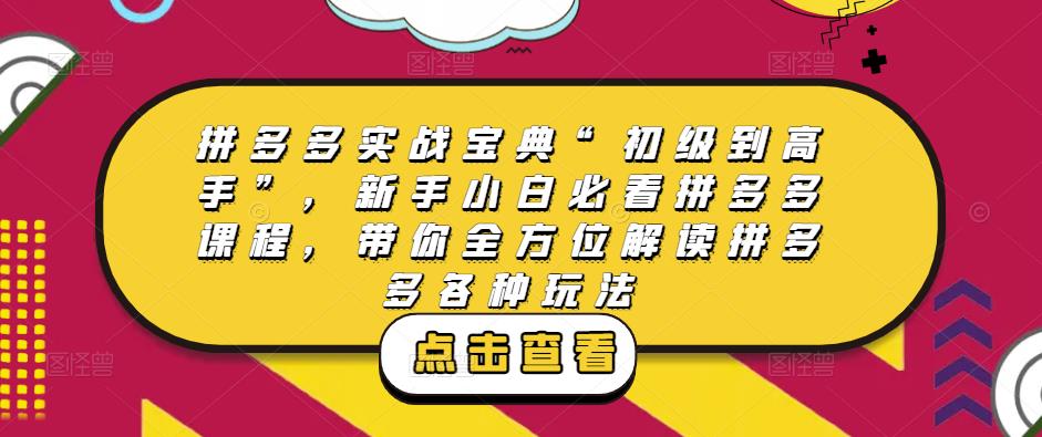 拼多多实战宝典“初级到高手”，新手小白必看拼多多课程，带你全方位解读拼多多各种玩法-桐创网