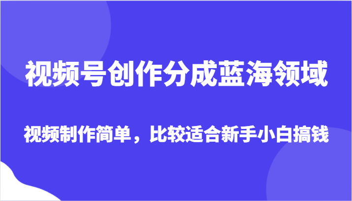 视频号创作分成蓝海领域，视频制作简单，比较适合新手小白搞钱-桐创网