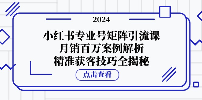 （12943期）小红书专业号矩阵引流课，月销百万案例解析，精准获客技巧全揭秘-桐创网