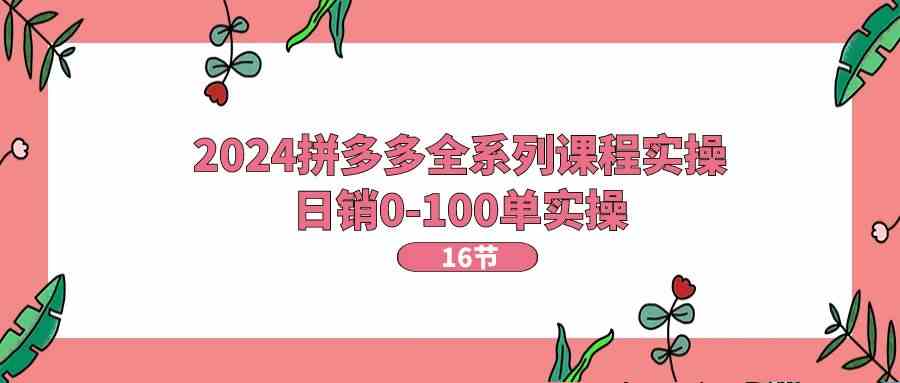 2024拼多多全系列课程实操，日销0-100单实操【16节课】-桐创网