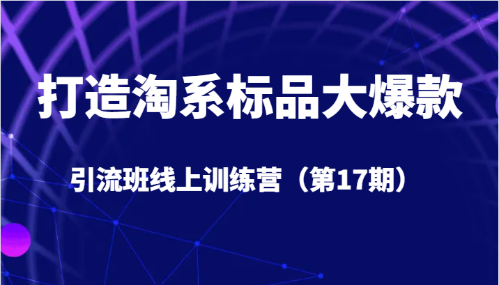 打造淘系标品大爆款引流班线上训练营（第17期）5天直播授课+1个月答疑-桐创网