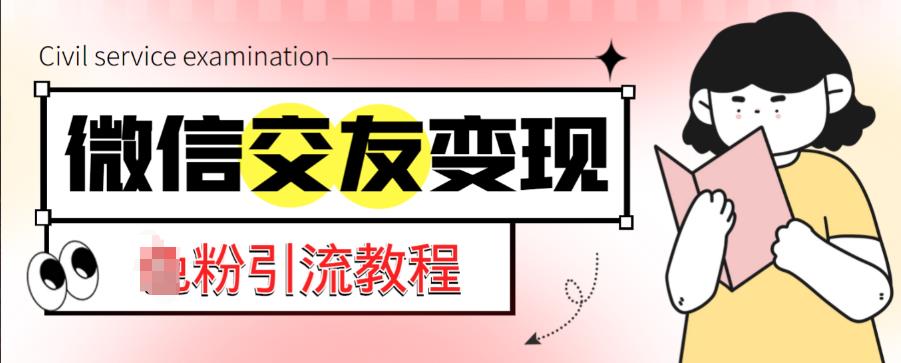 微信交友变现项目，吸引全网LSP男粉精准变现，小白也能轻松上手，日入500+-桐创网