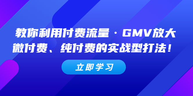 （5106期）教你利用付费流量·GMV放大，微付费、纯付费的实战型打法！-桐创网